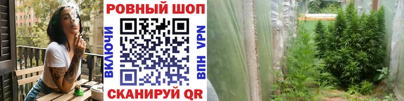 Где купить наркоту Орск МАРИХУАНА  A-PVP  МЕФ 