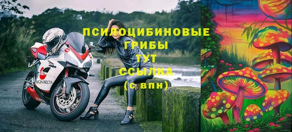 Альфа ПВП Алексеевка