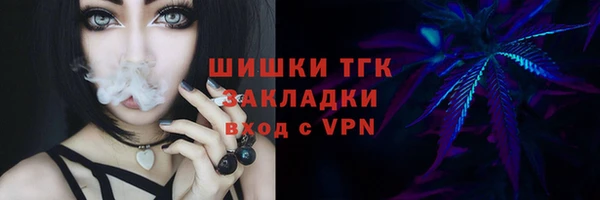сатива Абинск