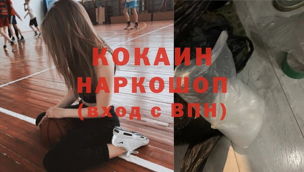 индика Алзамай