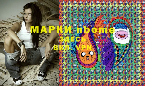 индика Алзамай