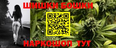 индика Гусев