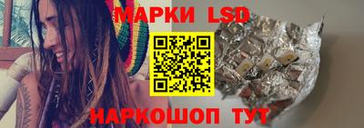 индика Гусев