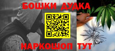 индика Гусев