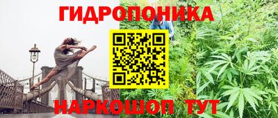 индика Гусев