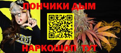 индика Гусев