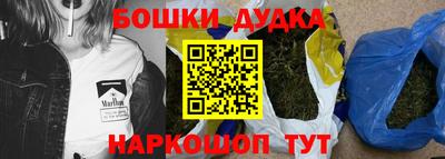 индика Гусев