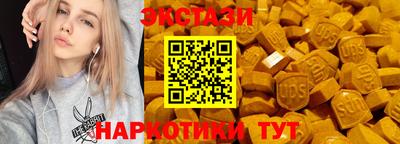 индика Гусев