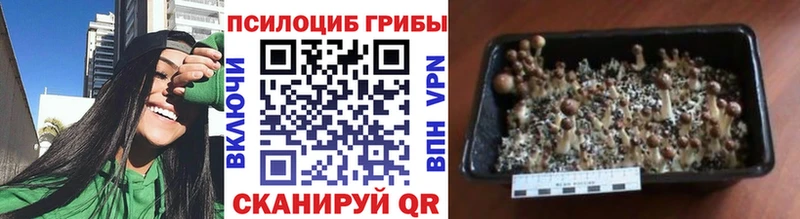 Псилоцибиновые грибы ЛСД  Орск 