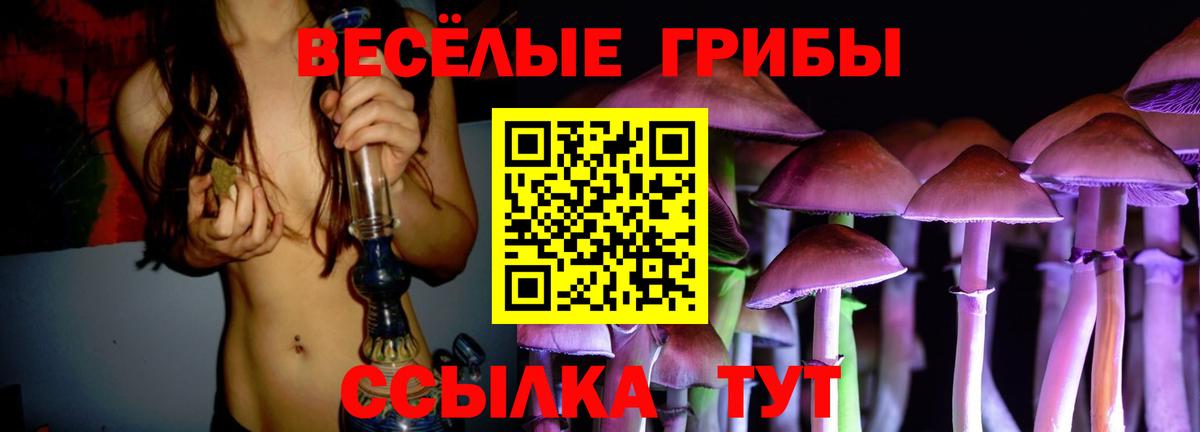 Псилоцибиновые грибы ЛСД  Вход с VPN  Псилоцибиновые грибы Cubensis  Орск 